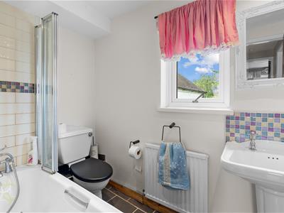 Picture 14